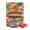 WATERMELON INFUSED GUMMIES